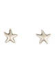 Tiffany & Co. Starfish Earrings
