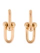 Tiffany & Co. 18K Large Link Drop Earrings