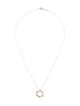 Tiffany & Co. Star of David Pendant Necklace
