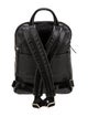 Tumi Leather Backpack