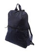 Tumi Web Backpack