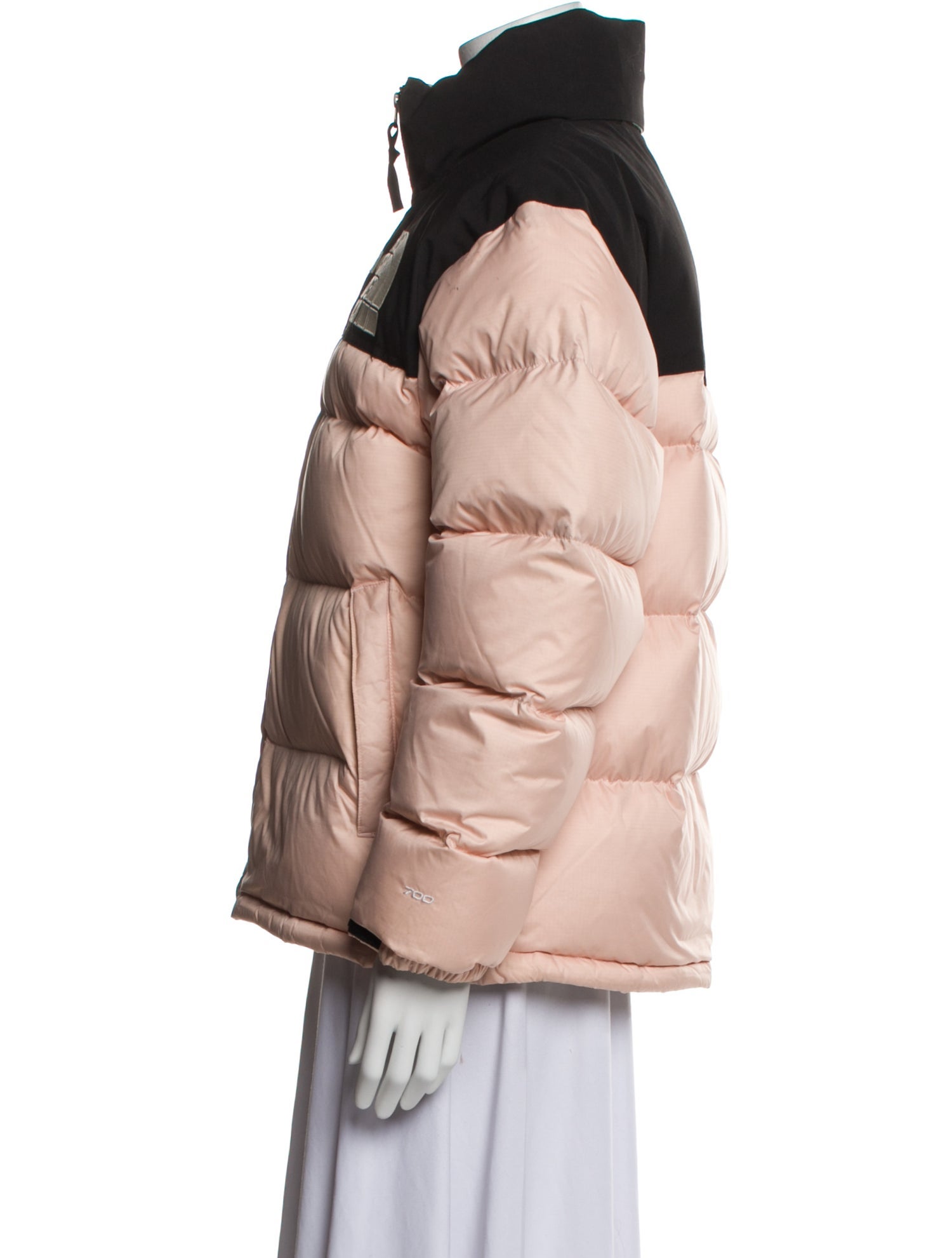 The North Face x Gucci 2021 Down Jacket