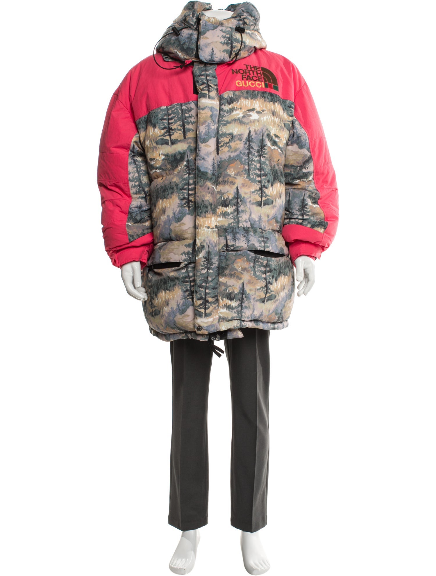 The North Face x Gucci Printed Parka