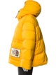 The North Face x Gucci Signature Logo Puffer Coat