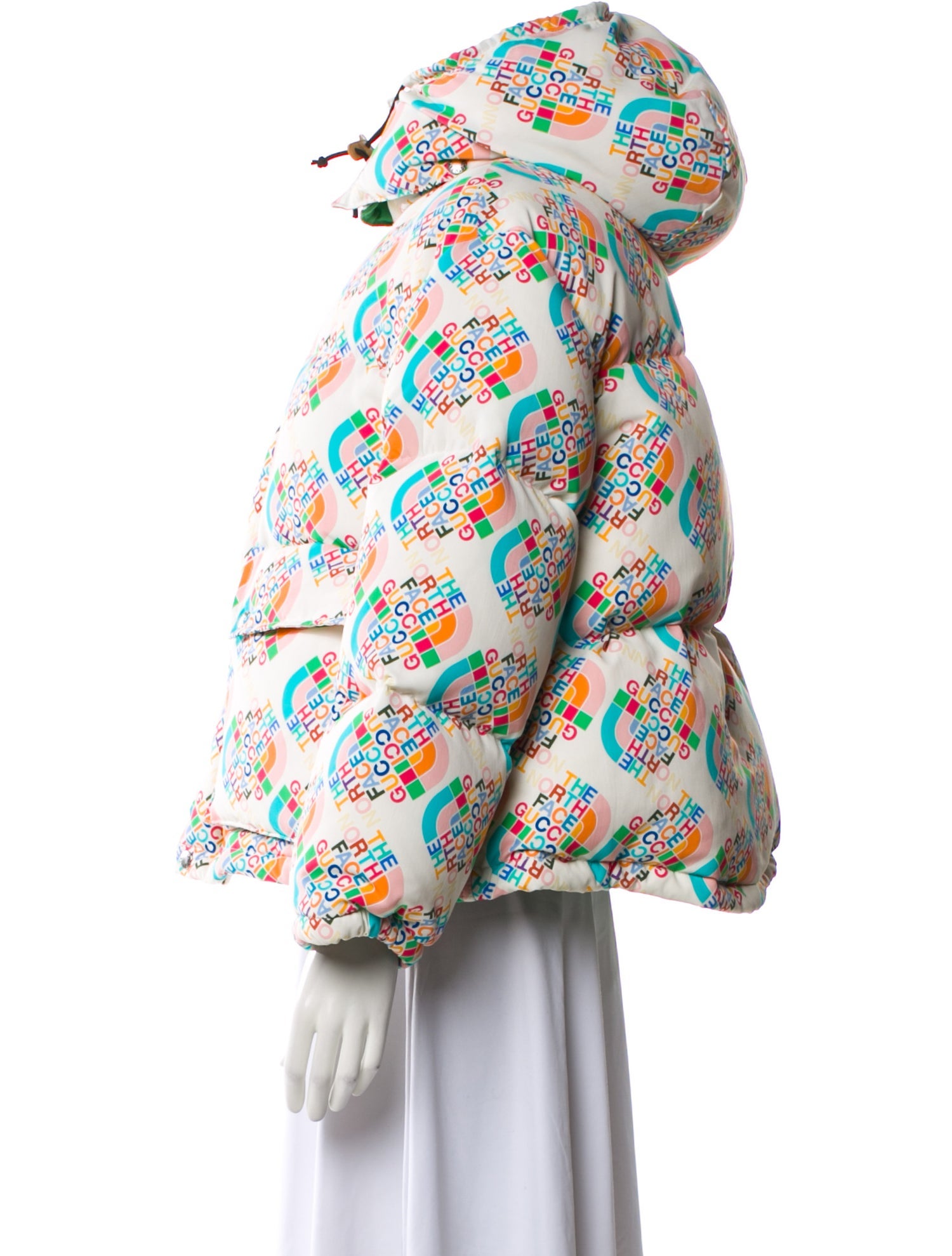 The North Face x Gucci 2022 Printed Down Jacket