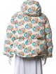 The North Face x Gucci 2022 Printed Down Jacket