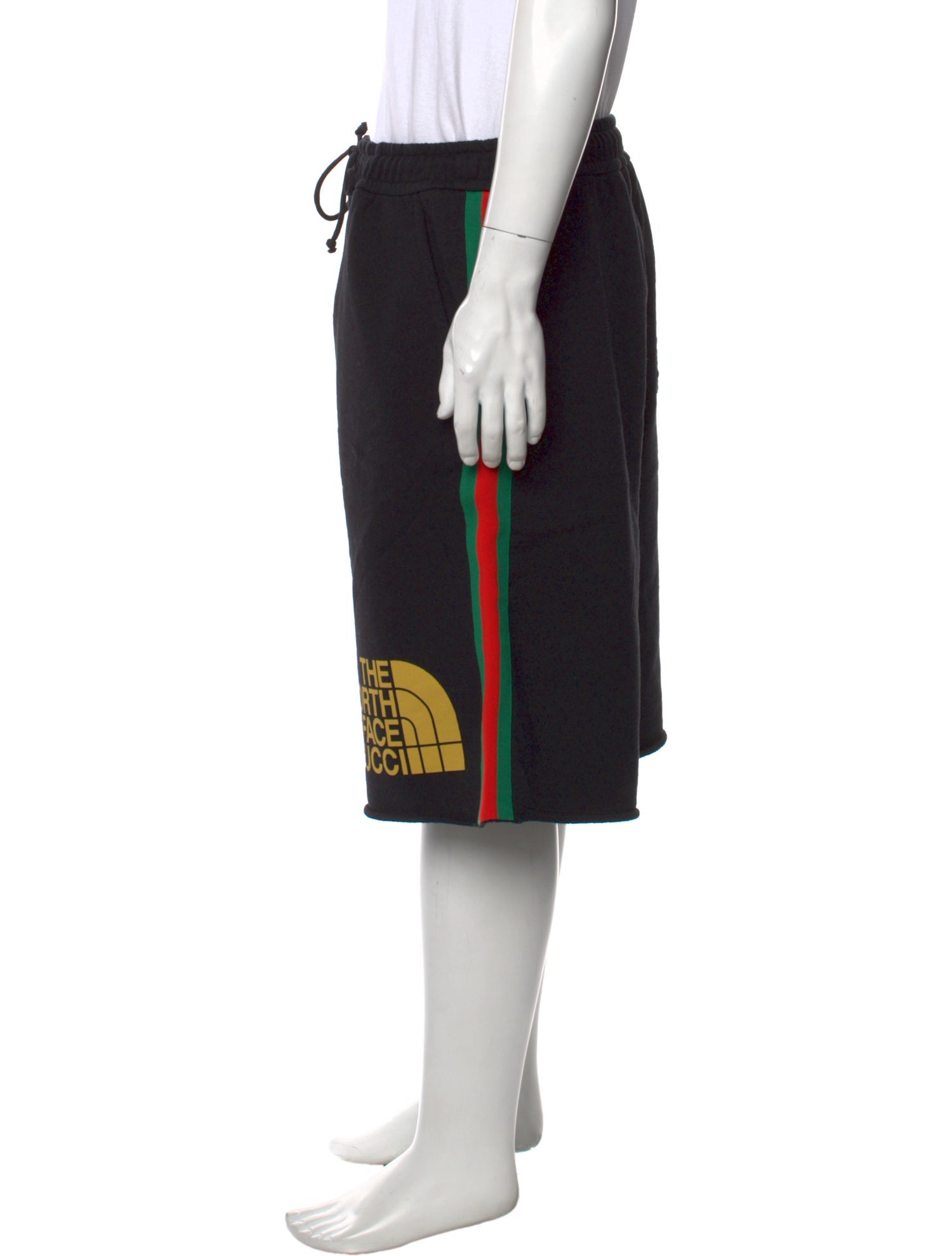 The North Face x Gucci Web Accent Shorts