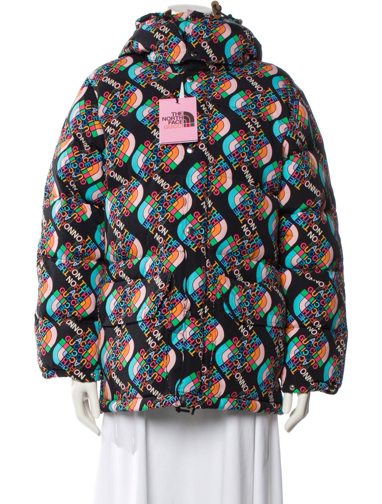 The North Face x Gucci 2022 Nylon Down Coat