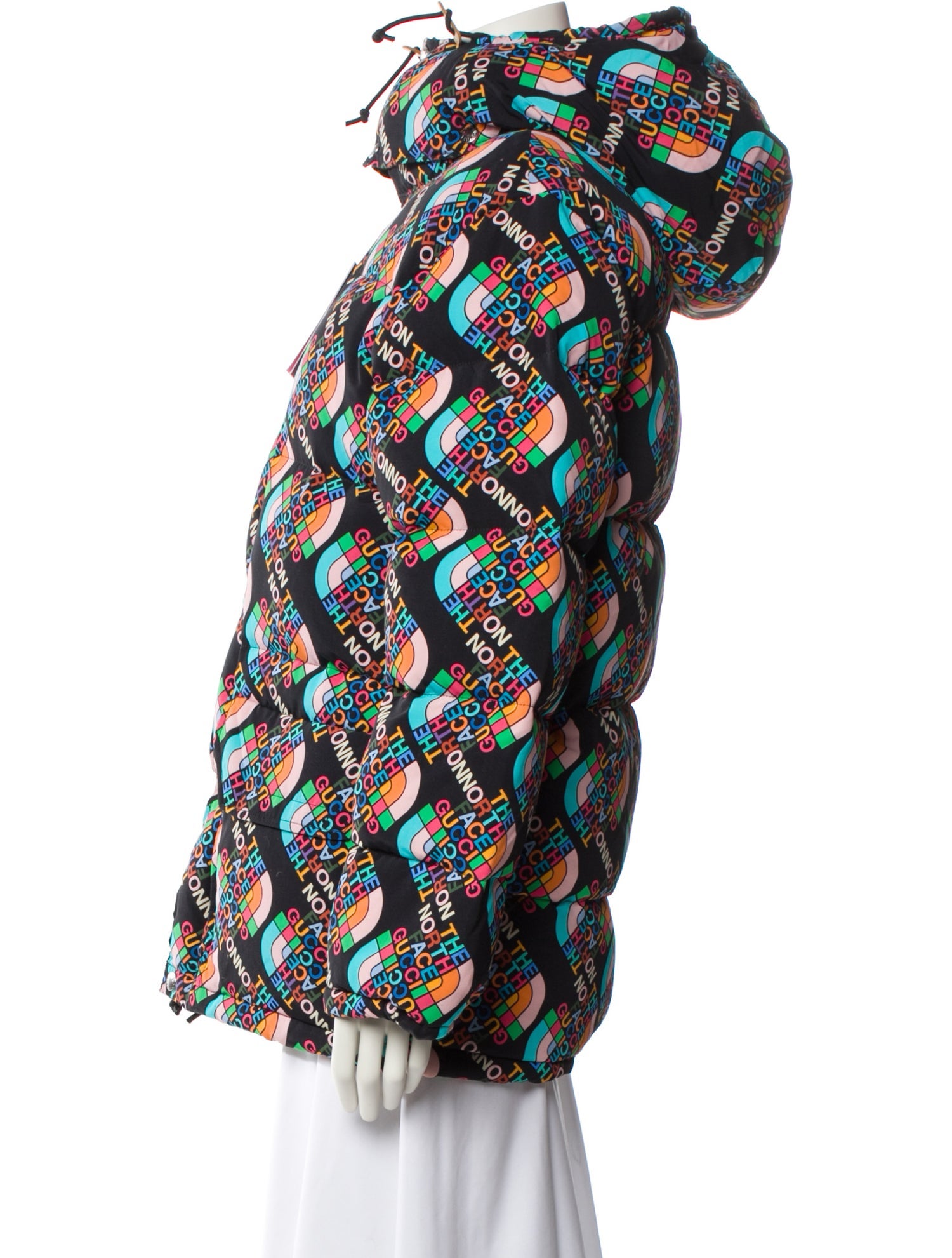 The North Face x Gucci 2022 Nylon Down Coat