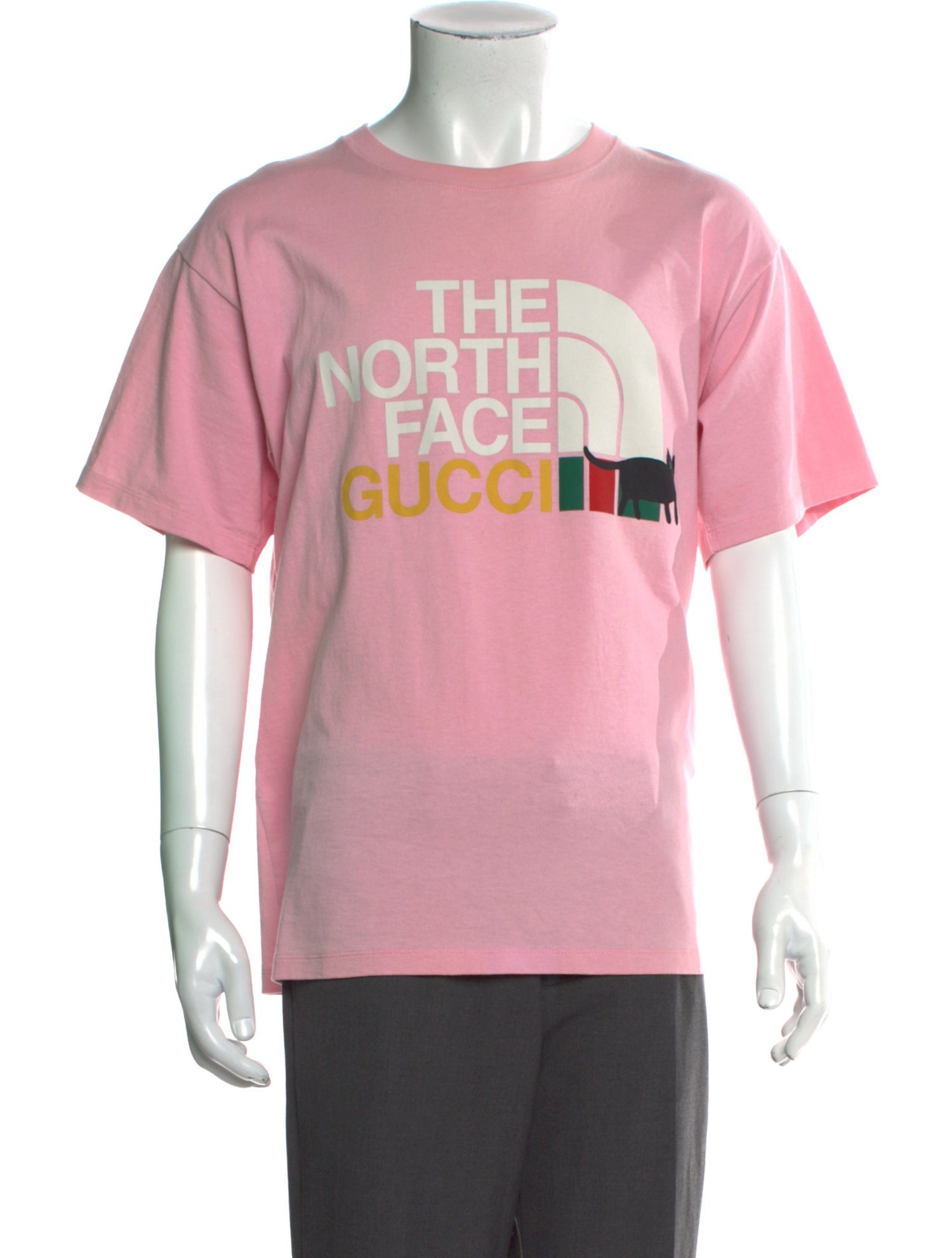 The North Face x Gucci 2021 Web Accent T-Shirt