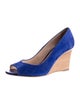 Tod's Suede Pumps