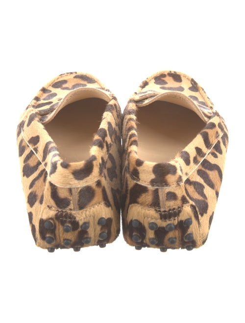 Tod's Ponyhair Animal Print Loafers
