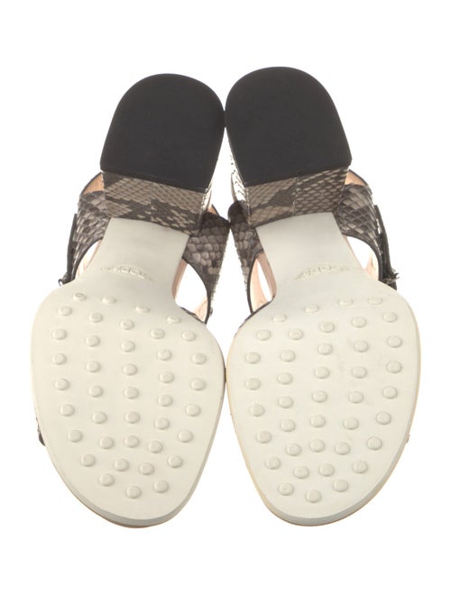 Tod's Python Animal Print Sandals