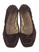 Tod's Suede Ballet Flats