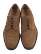 Tod's Suede Brogues