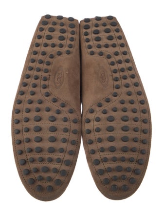 Tod's Suede Drivers