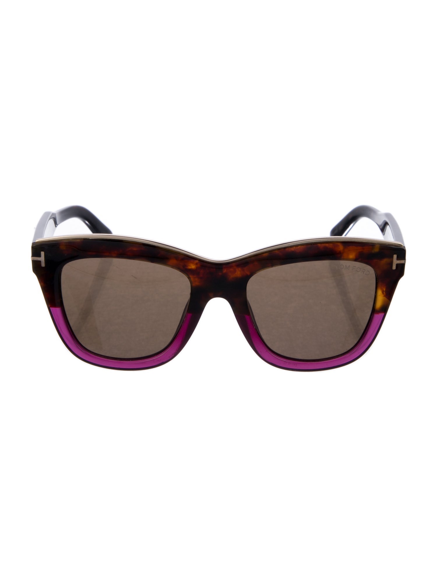 Tom Ford Wayfarer Tinted Sunglasses