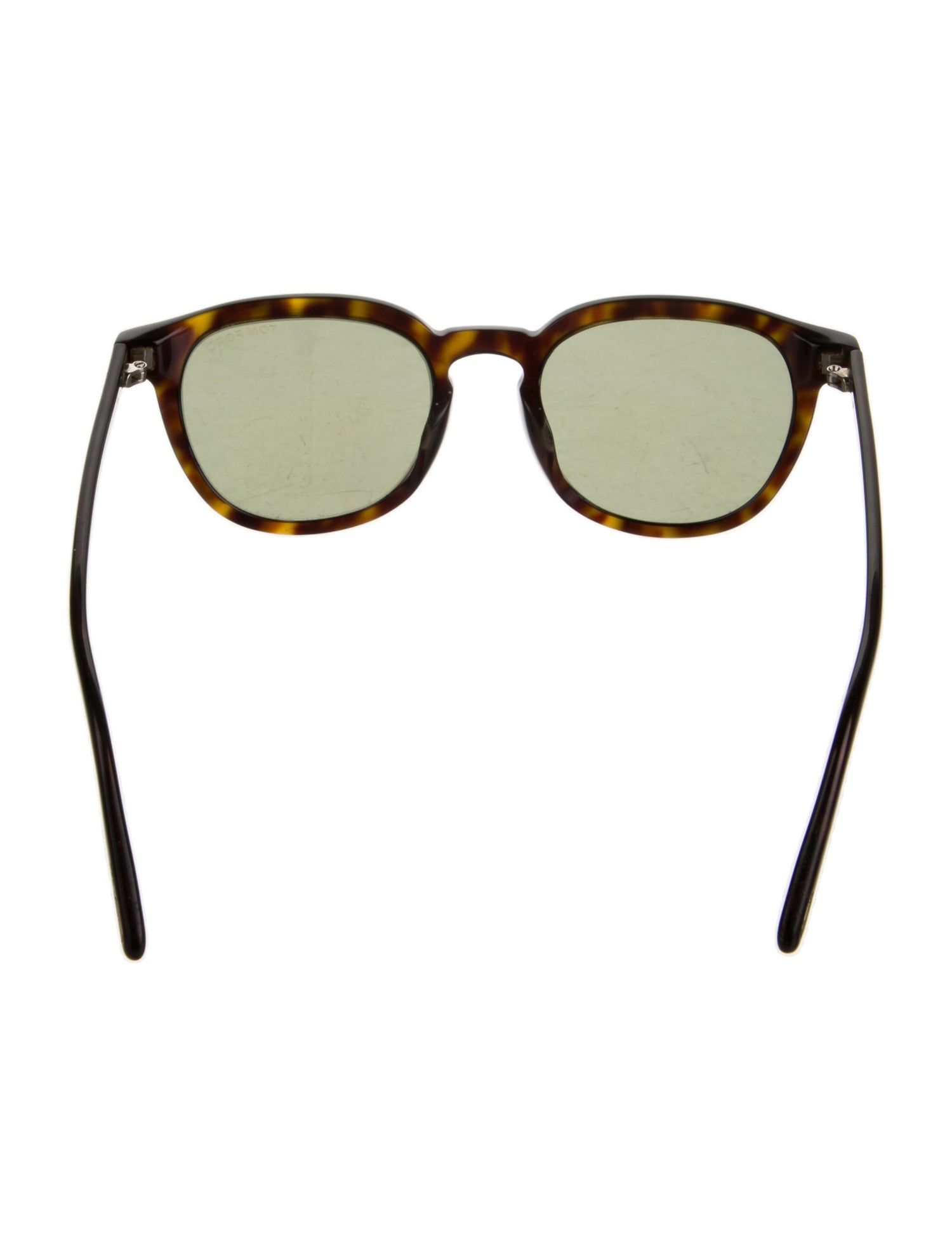 Tom Ford Wayfarer Tinted Sunglasses