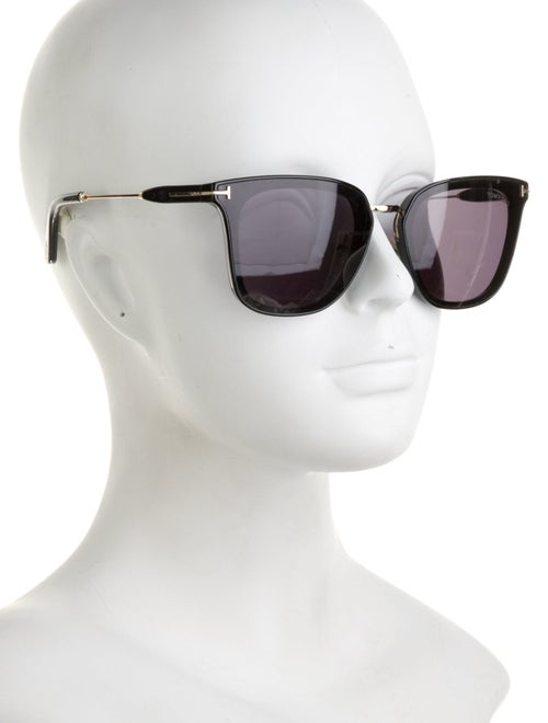 Tom Ford Wayfarer Tinted Sunglasses