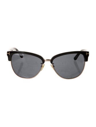 Tom Ford Wayfarer Tinted Sunglasses