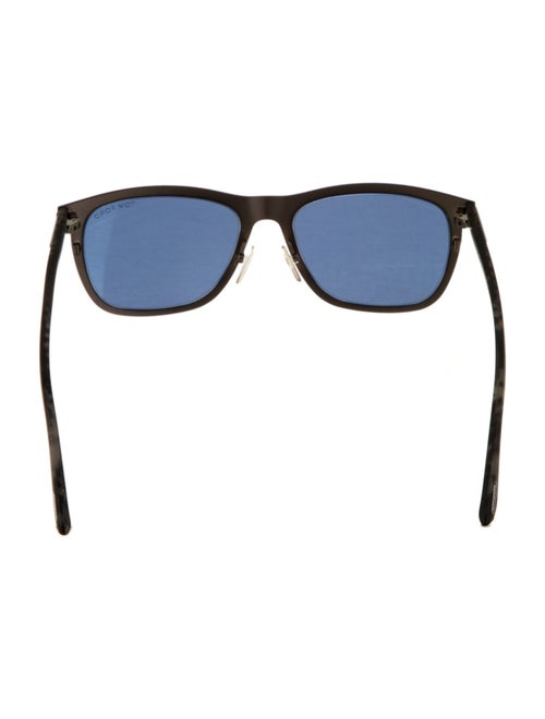 Tom Ford Wayfarer Tinted Sunglasses