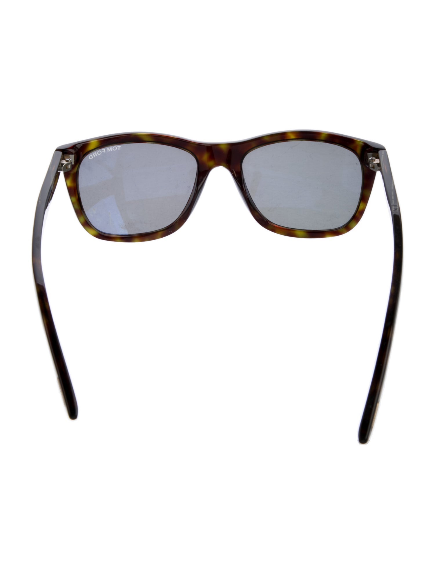 Tom Ford Wayfarer Tinted Sunglasses