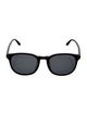 Tom Ford Wayfarer Tinted Sunglasses