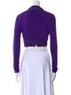 Tom Ford Cowl Neck Long Sleeve Crop Top
