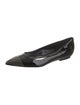 Tom Ford Patent Leather Animal Print Ballet Flats