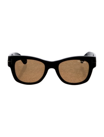 Tom Ford Wayfarer Tinted Sunglasses