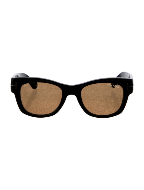 Tom Ford Wayfarer Tinted Sunglasses