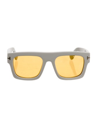 Tom Ford Wayfarer Tinted Sunglasses