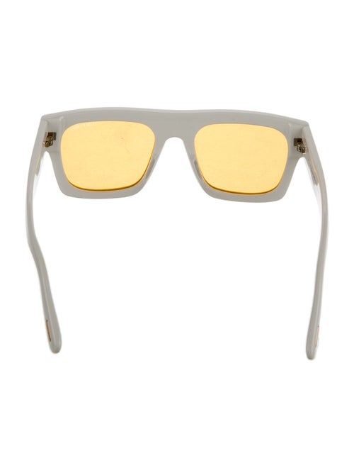 Tom Ford Wayfarer Tinted Sunglasses