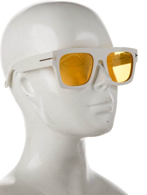 Tom Ford Wayfarer Tinted Sunglasses