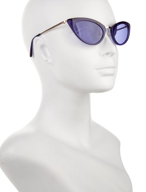 Tom Ford Sascha Cat-Eye Sunglasses