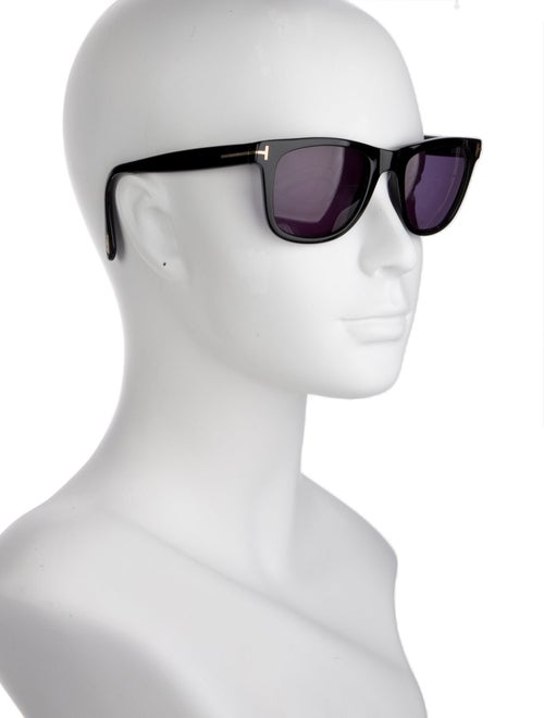 Tom Ford Wayfarer Tinted Sunglasses
