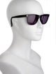 Tom Ford Wayfarer Tinted Sunglasses
