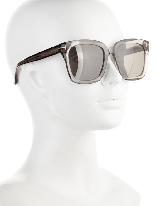 Tom Ford Wayfarer Tinted Sunglasses