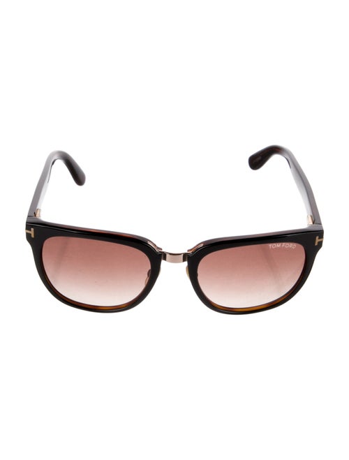 Tom Ford Giulio Wayfarer Sunglasses
