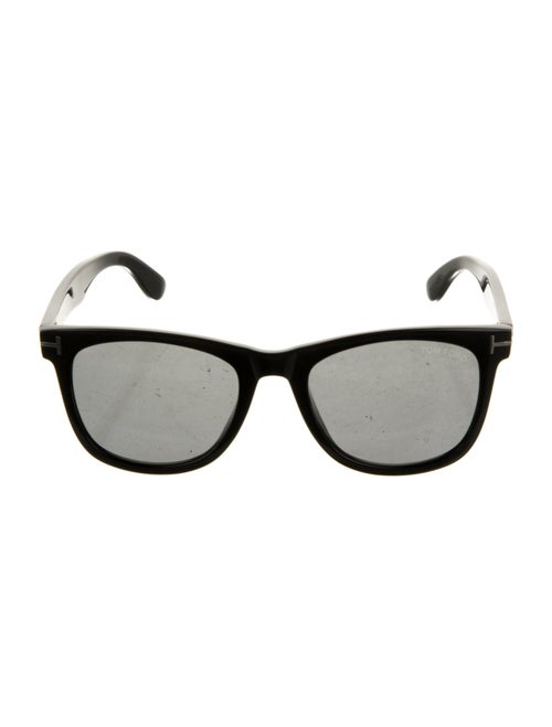 Tom Ford Wayfarer Tinted Sunglasses