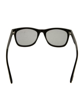 Tom Ford Wayfarer Tinted Sunglasses