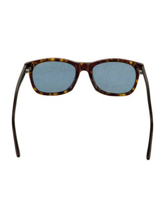 Tom Ford Wayfarer Tinted Sunglasses