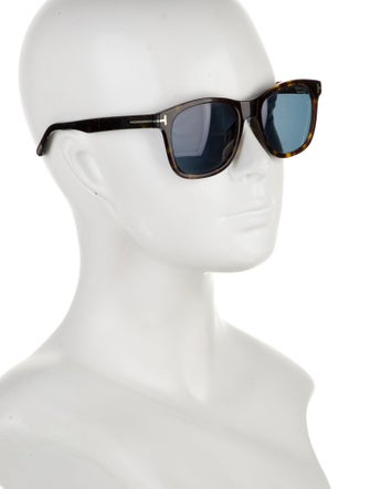 Tom Ford Wayfarer Tinted Sunglasses
