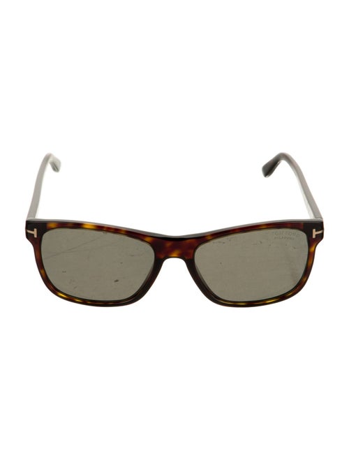 Tom Ford Wayfarer Tinted Sunglasses