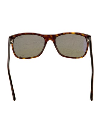 Tom Ford Wayfarer Tinted Sunglasses