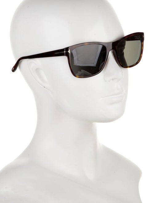 Tom Ford Wayfarer Tinted Sunglasses
