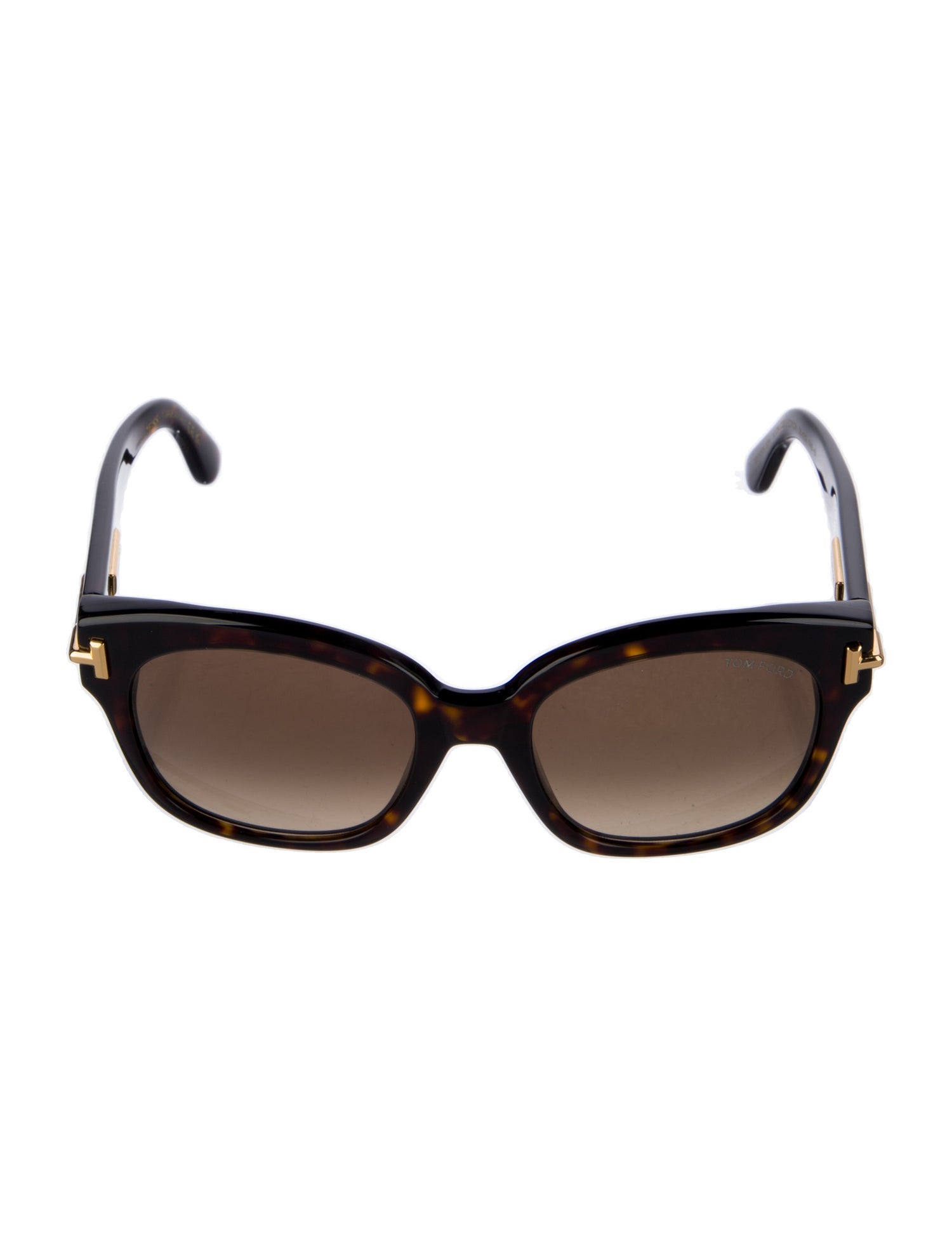 Tom Ford Wayfarer Tinted Sunglasses