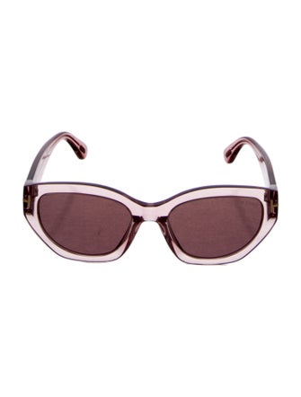 Tom Ford Oversize Tinted Sunglasses