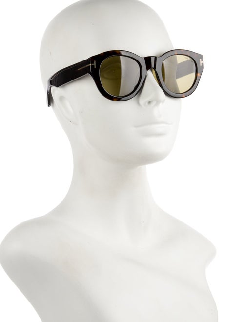 Tom Ford Wayfarer Tinted Sunglasses