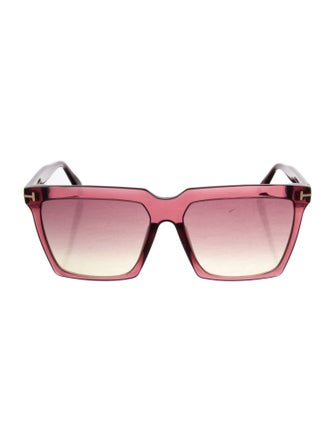 Tom Ford Sabrina-02 Oversize Sunglasses